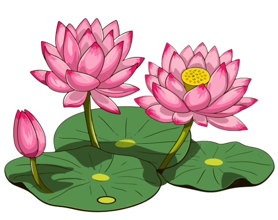 image-removebg-preview